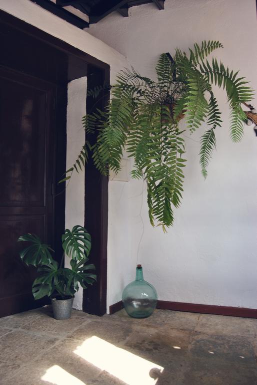 Casa Rural El Palmar 바예에르모소 외부 사진